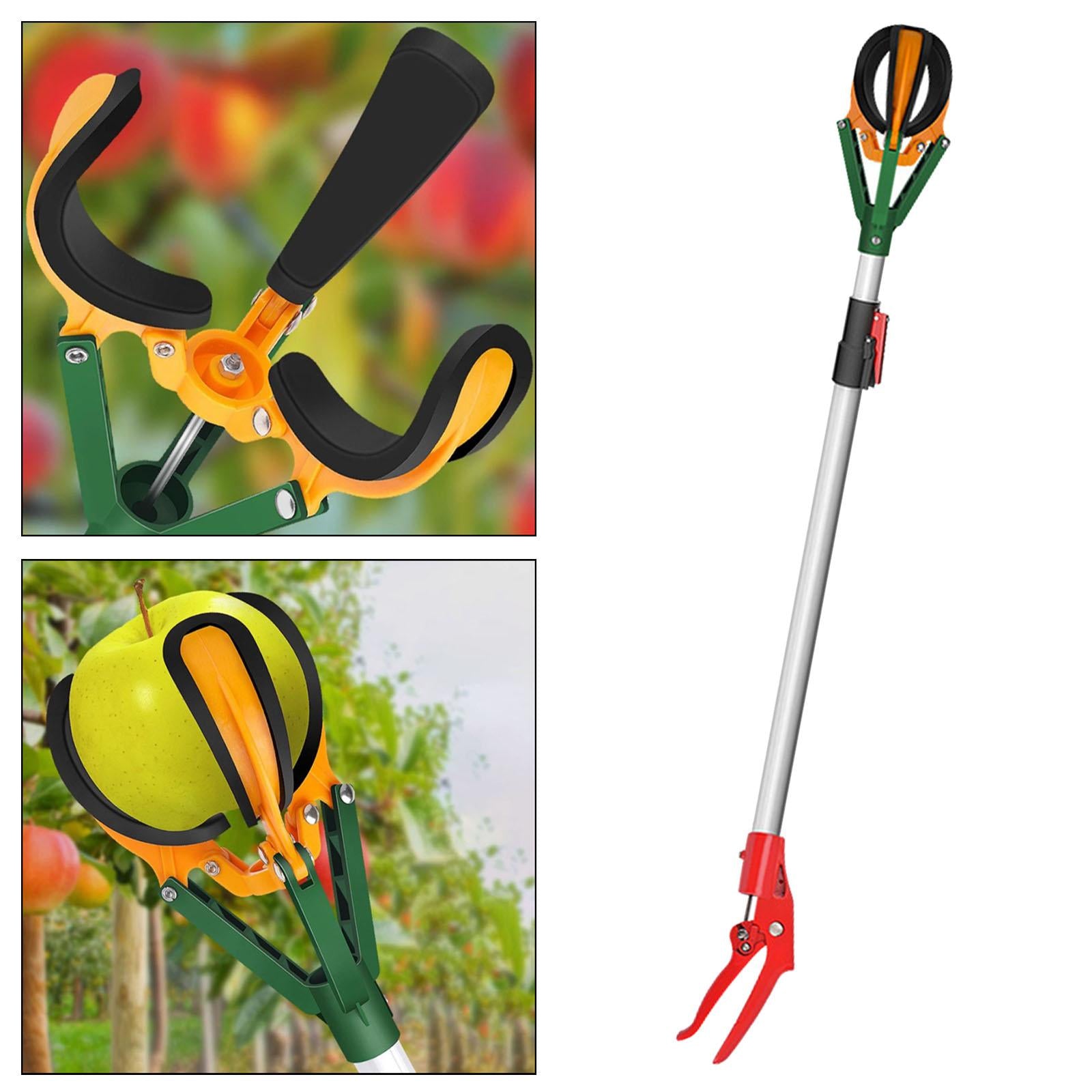 Teleskopski berač voća 1.5m Alat za branje jabuka, krušaka i voća sa visine