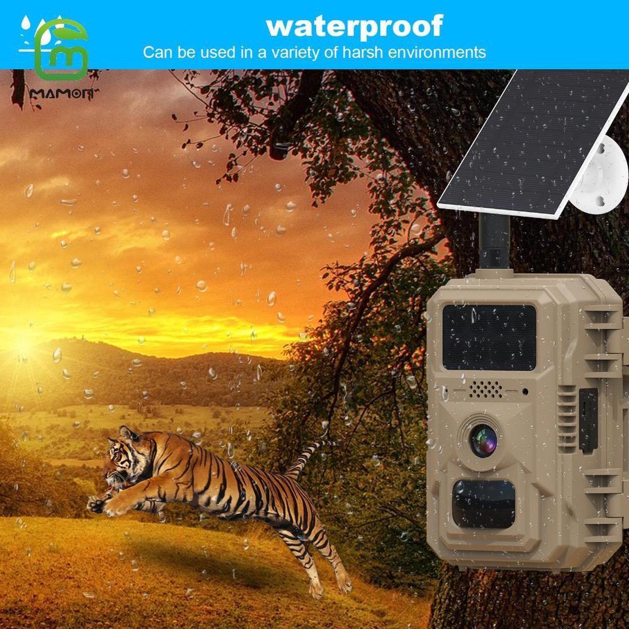 Solarna lovacka kamera Trail 4G sim