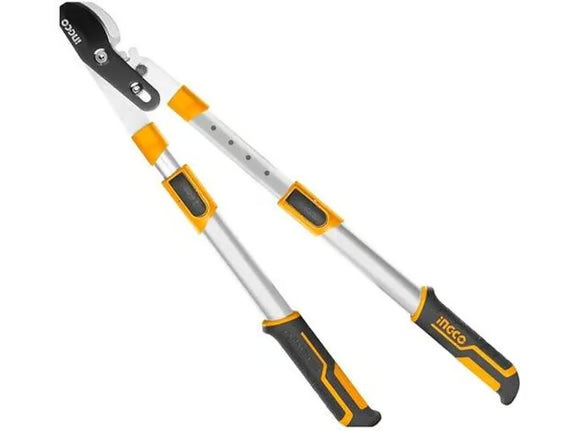 DINGQI Teleskopske makaze za grane