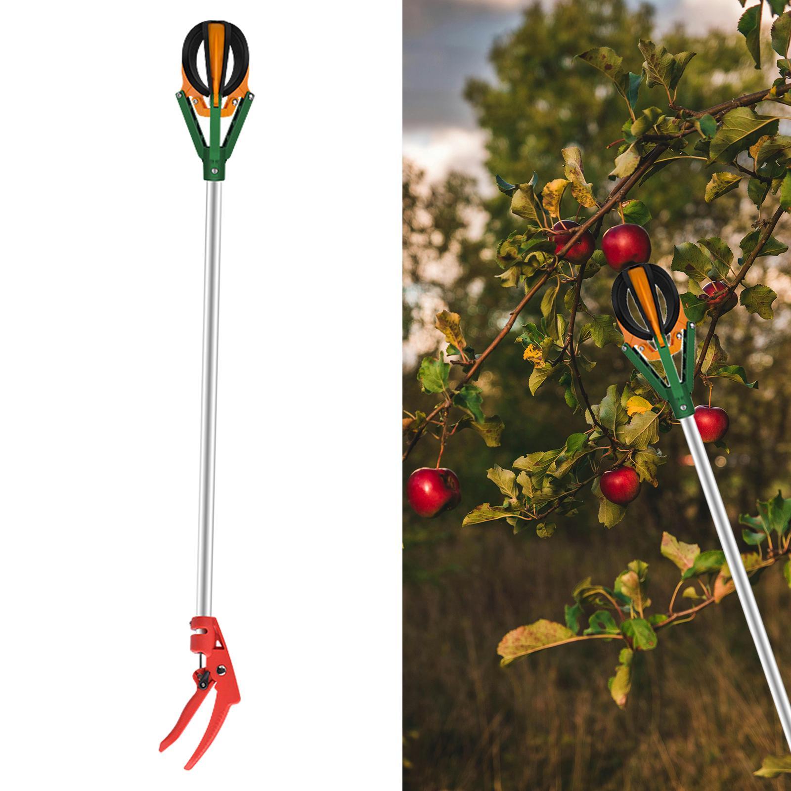 Teleskopski berač voća 1.5m Alat za branje jabuka, krušaka i voća sa visine
