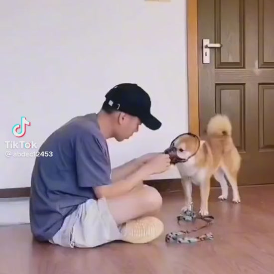 Ultrasonični uređaj za treniranje pasa i rasterivač pasa