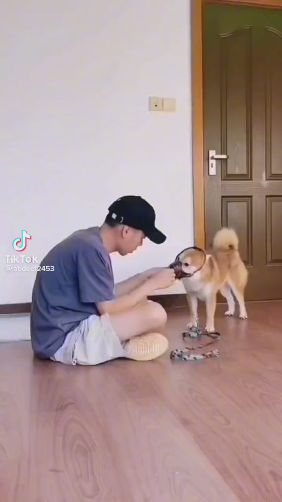 Ultrasonični uređaj za treniranje pasa i rasterivač pasa